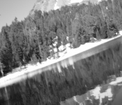Montana2008 325